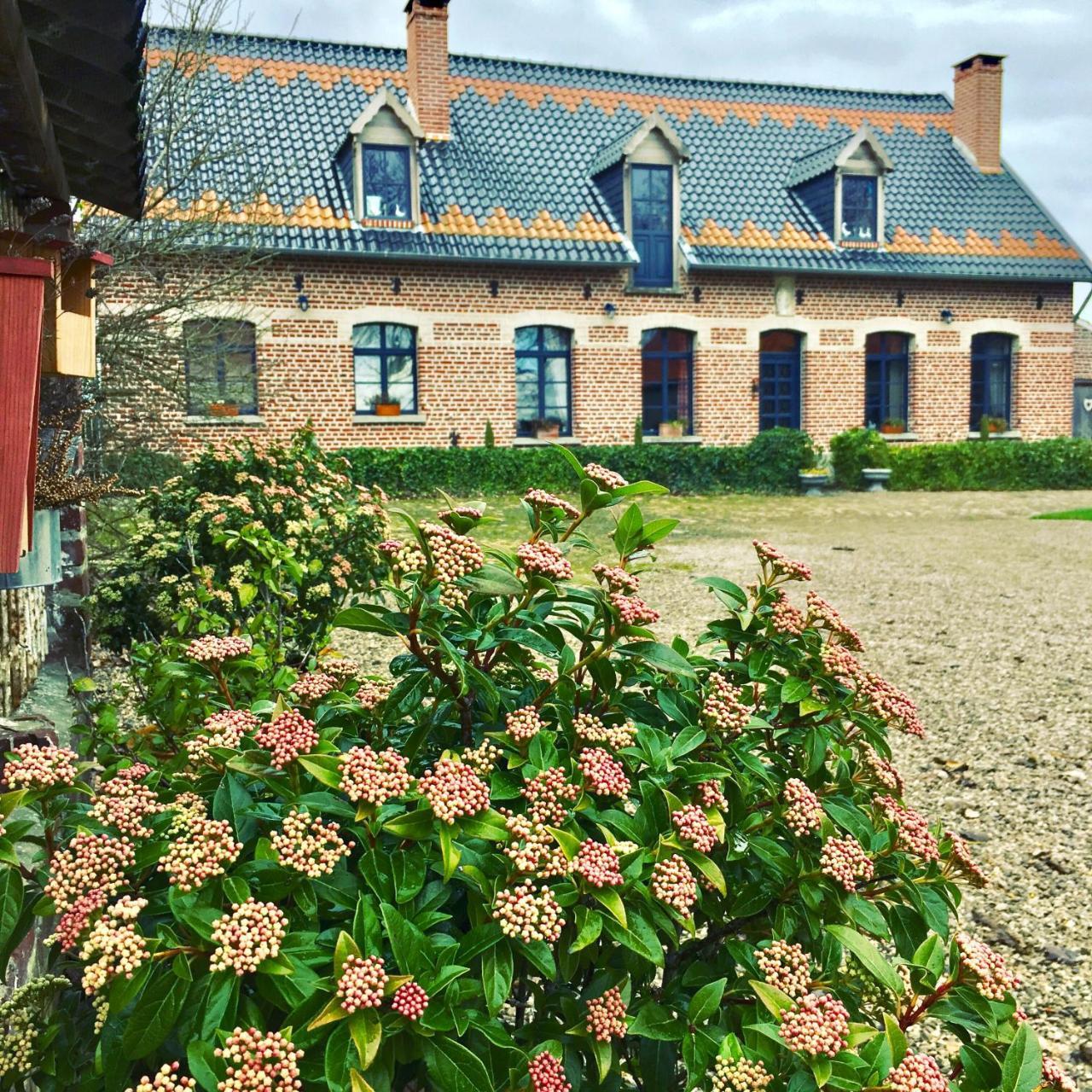 Paardenhof Guesthouse Esquelbecq Exterior photo